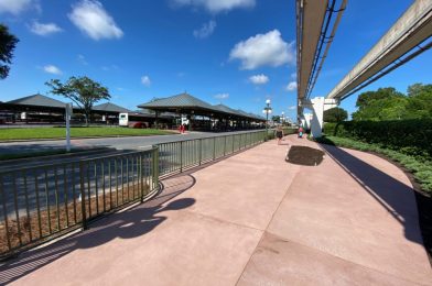 PHOTOS: Railings Completed, Landscaping Added to Renovated Walkway Between Disney’s Contemporary Resort and the Magic Kingdom