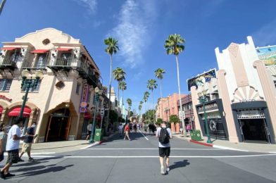 What’s New in Disney’s Hollywood Studios: A NEW Show, Menu Updates, and a Hard-to-Find Puzzle!