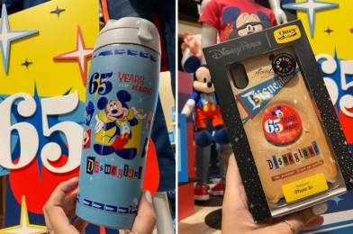 PHOTOS: New Disneyland 65th Anniversary Tervis Water Bottle & OtterBox Phone Case Now Available at Downtown Disney District