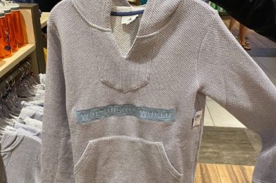 PHOTOS: New Cozy Walt Disney World Knit Sweatshirt Arrive at Disney Springs