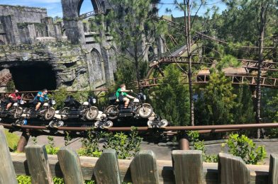 Backstage Fire Shuts Down Hagrid’s Magical Creatures Motorbike Adventure; Attraction Remains Closed at Universal’s Islands of Adventure