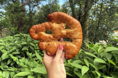 DFB Video: What Will $100 Get You To Eat in Disney World?