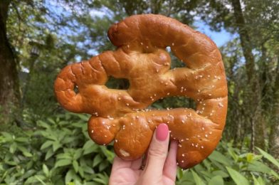 NEWS! This SIMBA Snack is BACK in Disney’s Animal Kingdom!