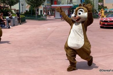 See Who Made It to the FINAL Round of Our DFB Disney Park Characters Throw Down!