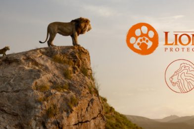 Return of the Roar on World Lion Day