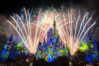 Walt Disney World Files Permit for “Project Nugget” Construction on Magic Kingdom Fireworks Launch Site