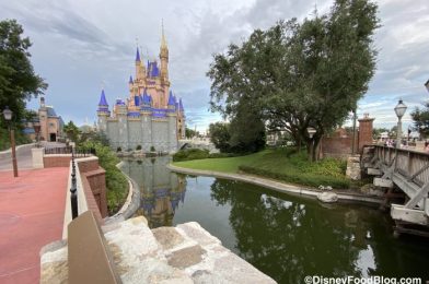 Photos: See the TRON Lightcycle Run Construction Progress in Disney World From a Bird’s Eye View!