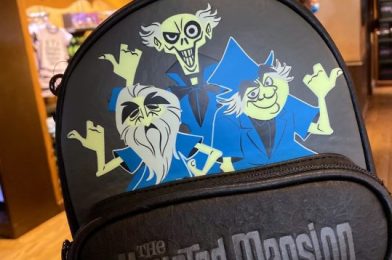 The 5 NEW Pieces of Haunted Mansion Merch That We WANT THE MOST from Disney World Right Now!