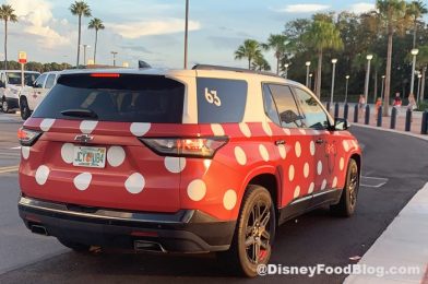 Road Tripping? Here Are 5 Ways to Keep the Kids Entertained On The Drive To Disney World!