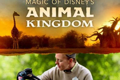 ‘Magic of Disney’s Animal Kingdom’ Series Launches September 25 on Disney Plus