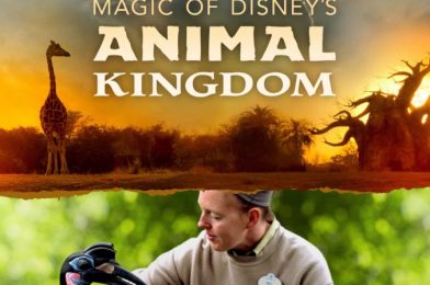 New “Magic of Disney’s Animal Kingdom” Series Premieres on Disney+ September 25