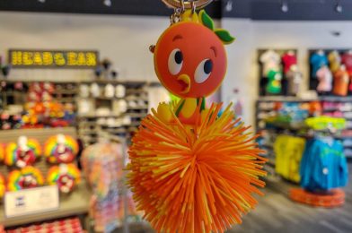 PHOTOS: New Orange Bird Koosh Ball Keychain Arrives at Walt Disney World Resort