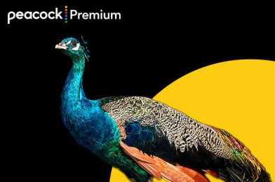 Universal Passholders Get Three Months Free of Peacock Premium Streaming Service