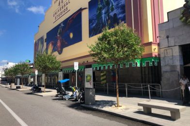 PHOTOS: New Trees and Landscaping Freshen Up Production Central at Universal Studios Florida