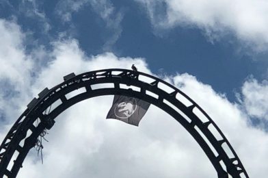 PHOTOS: Life Finds A Way – “Raptor” Makes Nest on Tallest Point of Velocicoaster at Universal’s Islands of Adventure