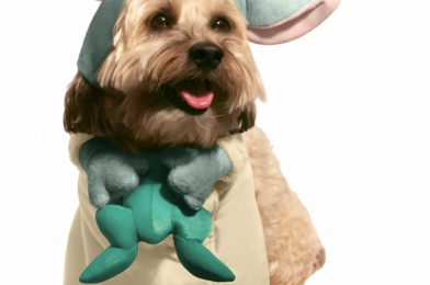 Buy This Baby Yoda Spirit Jersey for Your Dog at Downtown Disney, You MUST!