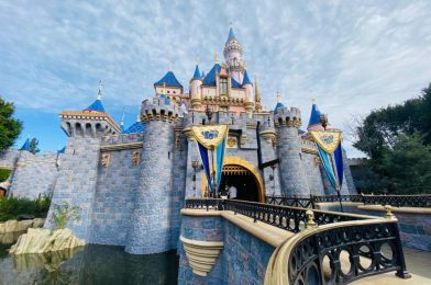 Disneyland Resort Sending Cancellation Emails to Guests With Reservations Through August 29