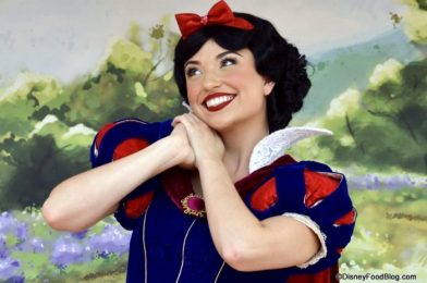 Heigh Ho! Two New Snow White Tops Have Just Arrived at Disney Springs!