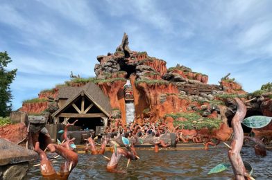 Walt Disney World Releases Official Statement on Splash Mountain Log Sinking Incident at the Magic Kingdom