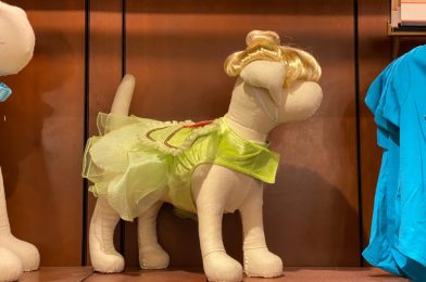 PHOTOS: NEW Tinker Bell Dog Costume (With Wig) Flies Into Walt Disney World