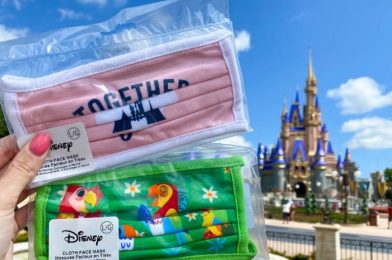 They’re Here! Mickey Mouse and Disney Park Attraction Face Masks Have Arrived Online!