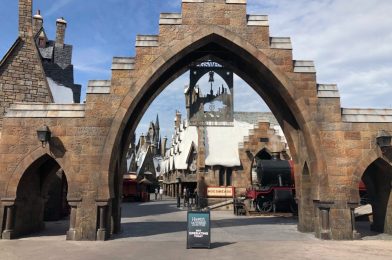 PHOTO REPORT: Universal Orlando Resort 8/12/20 (Central Park Crepes Opens, New Halloween Horror Nights Keychain, Hagrid’s Magical Creatures Motorbike Adventure Closed After Fire, and More)