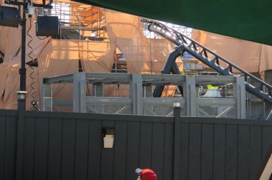 PHOTOS: Dinosaur Transport Cage Takes Shape on the “Velocicoaster” Construction Site at Universal’s Islands of Adventure