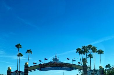 This Week in Walt Disney World Weather — August 9, 2020