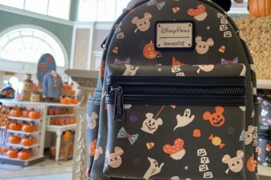 Would You Pay $100 For a Bat Mickey Backpack?!