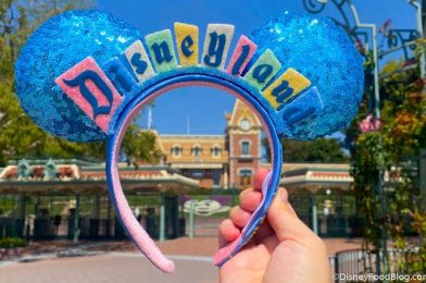 NEWS: Another Round of Disneyland Resort Shopping Reservations Are Available RIGHT NOW!