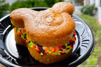 Review: One of Our All-Time FAVORITE Pumpkin Treats Is BACK in Disney World!