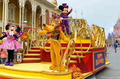 NEWS: A Third Disney World Park No Longer Has Park Passes Available for Annual Passholders on Halloween