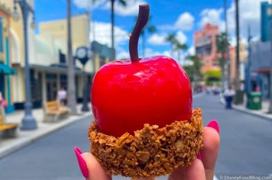 It’s Sweet AND Spooky! Halloween Cotton Candy is Back in Disney World!