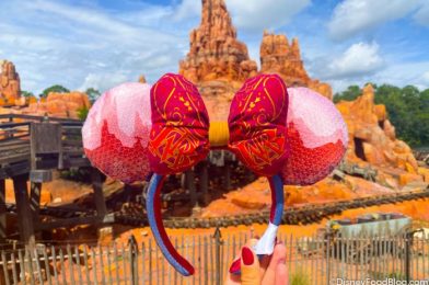 HURRY! Big Thunder Mountain Main Attraction Plush Have Arrived in Disney World!