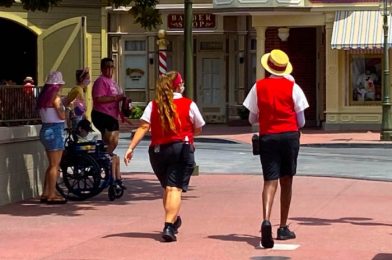 DFB Video: 20 STRICT RULES Disney Employees MUST Follow!