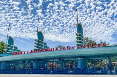 Two Major NEW Park Additions Show We’re Even Closer to Disneyland Reopening