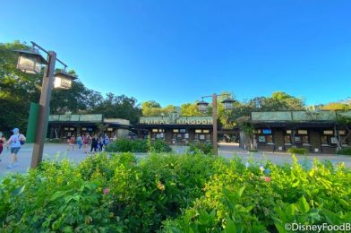What’s New at Disney’s Animal Kingdom: Dawa Bar Reopens and the Welcomed Return of Pumpkin Fudge!