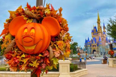 PICS! The Iconic Mickey Jack-O-Lanterns Are UP in Magic Kingdom at Disney World!