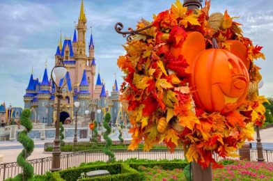 A BIG Piece of Disney World Halloween is HERE! Check Out the Costumes Cast Members Will Be Rocking All Season Long!