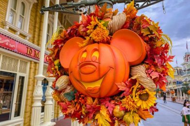 Review: This Bag of Halloween Cookies Packs a Salty Punch in Disney World