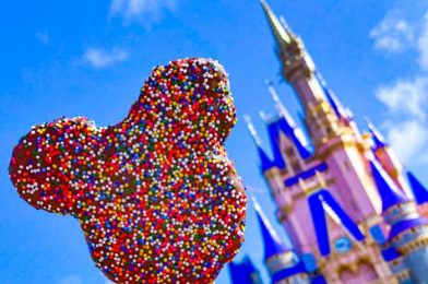 Disney Just Released a NEW Vera Bradley Blanket And It’s Making Us…Hungry?