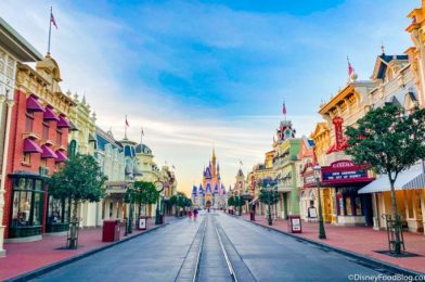 NEWS: Disney World Park Passes Are COMPLETELY Booked For This Saturday!