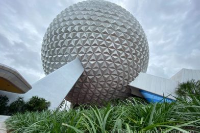 What’s New at EPCOT: A Secret Drink is Back, There’s a NEW Garlic Toast Pulled Pork Sandwich, and We Found a Whole Fish & Chips COLLECTION!