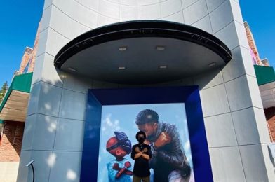 PHOTOS: New ‘Black Panther’ Mural Added to Downtown Disney to Honor the Life of Chadwick Boseman