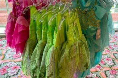 This Disney World Halloween Costume Sale is Fit For A Princess!