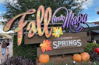 Here’s Some of the MUST-Have Fall Treats at Disney Springs