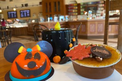 REVIEW: Prepare to Fall in Love with These NEW Autumn Treats at Amorette’s