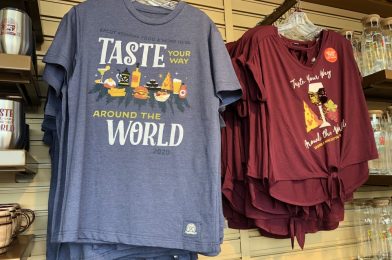 The Wonderful World of EPCOT Food and Wine Festival Merchandise!