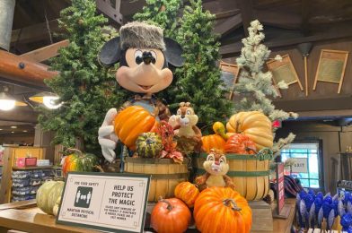 PHOTOS: More Fall Decorations Have FINALLY Started to Appear in Disney World!