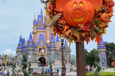 Are the New Halloween Offerings at Magic Kingdom Enough to Satisfy Fans?